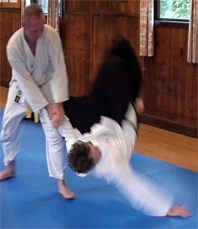Martial
                          arts in Reading & Knighton - Aikido
                          technique